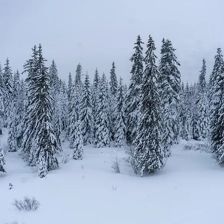 Snow Valley Appartamento Jahorina