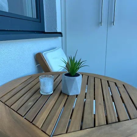 Snow Valley 자호리나